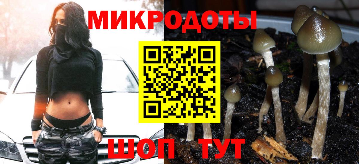 Всеволожск  Псилоцибиновые грибы мицелий  Вход с VPN  Галлюциногенные грибы Psilocybine cubensis 